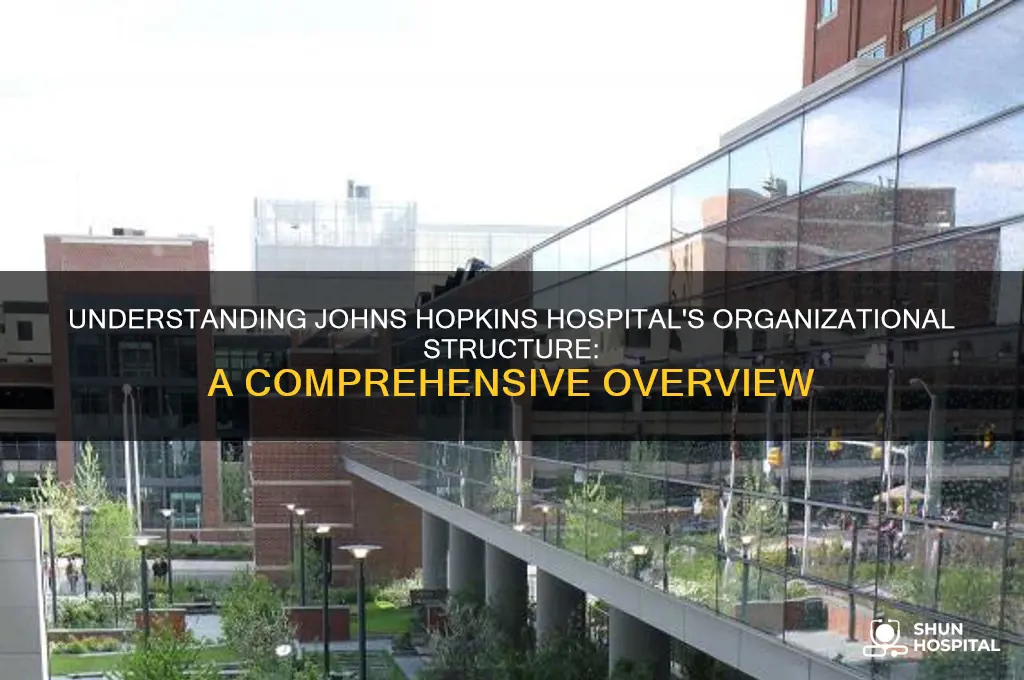 what is the organizational structure of johns hopkins hospital