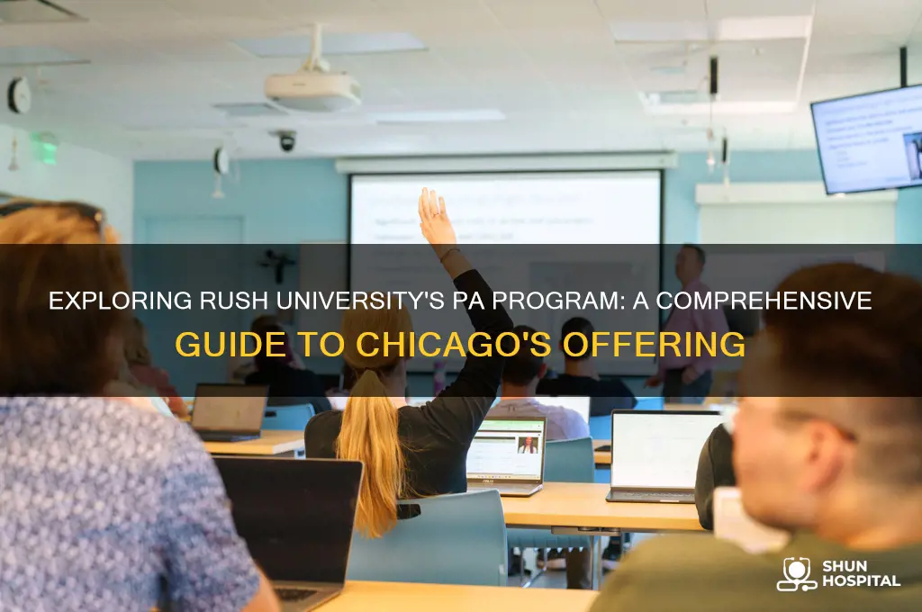 what is the pa program in rush hospital chicago