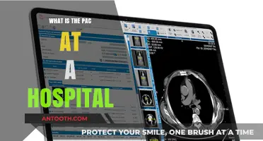 Understanding the Hospital's PAC: Who They Are