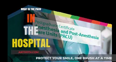 The Hospital's PACU: Post-Anesthesia Care Unit