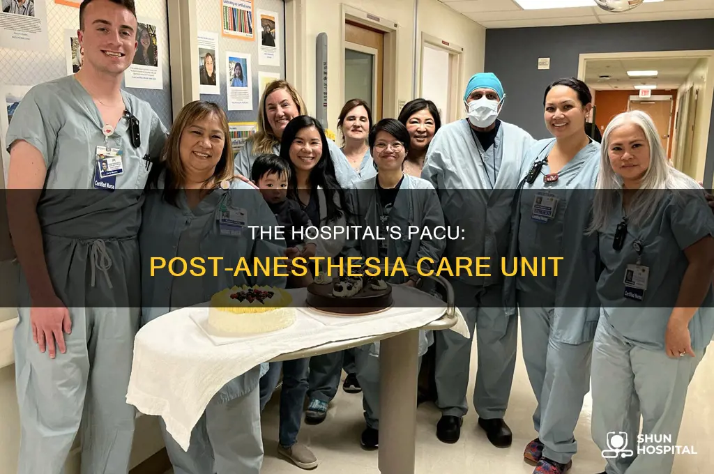 what is the pacu in the hospital