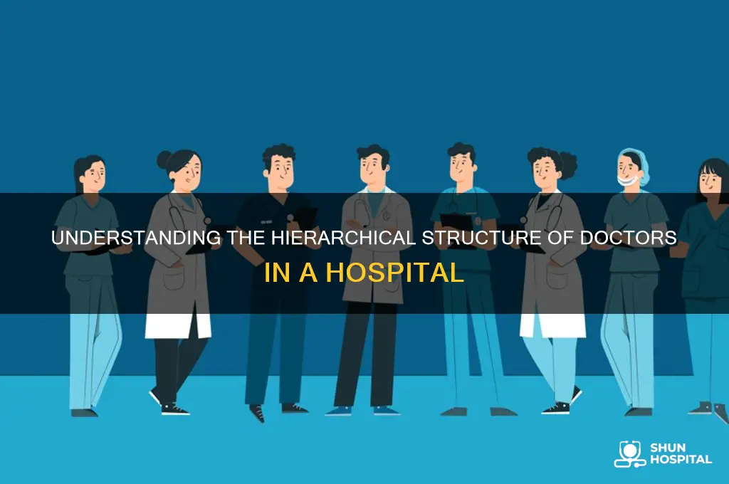 what is the pecking order of doctors in a hospital