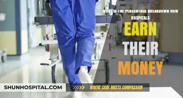 How Hospitals Earn Money: A Detailed Percentage Breakdown