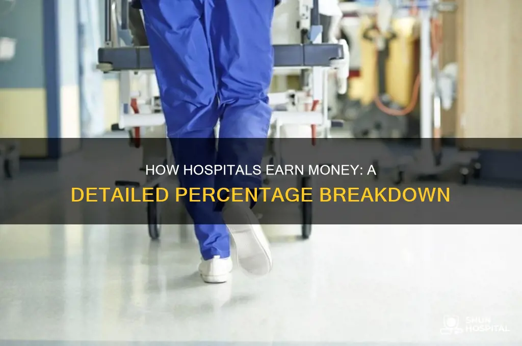 what is the percentage breakdown how hospitals earn their money