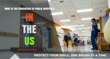 Exploring the Role of Public Hospitals in US Healthcare System