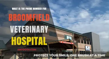 Contact Broomfield Veterinary Hospital: Find Their Phone Number Here
