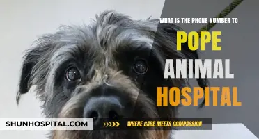 Contact Pope Animal Hospital: Find Their Phone Number Here