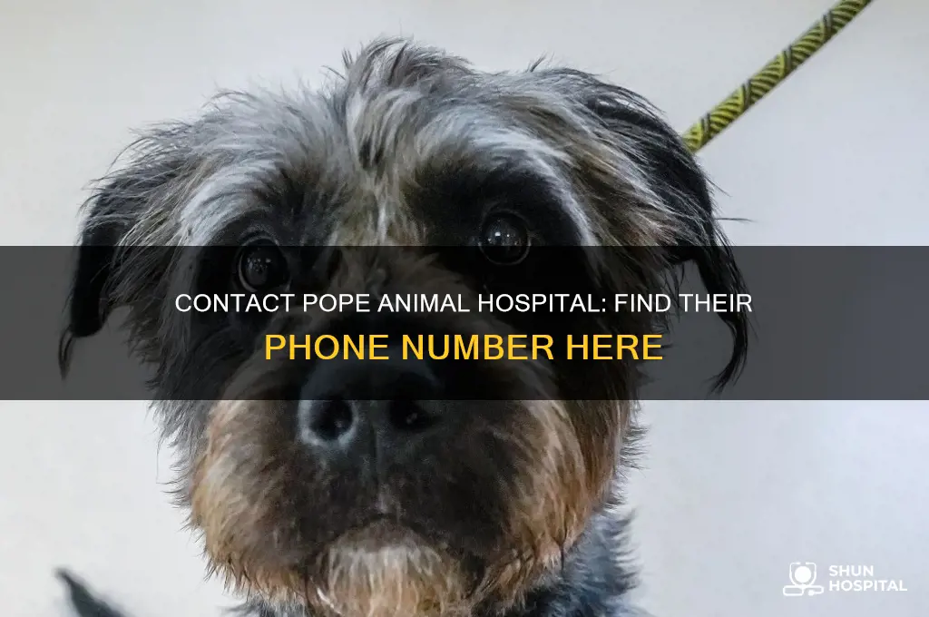 what is the phone number to pope animal hospital