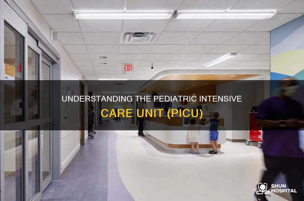 what is the picu in the hospital