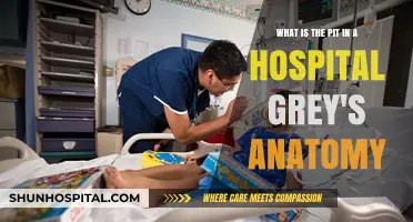 Understanding the Pit: Grey's Anatomy's Hospital Trauma Center Explained