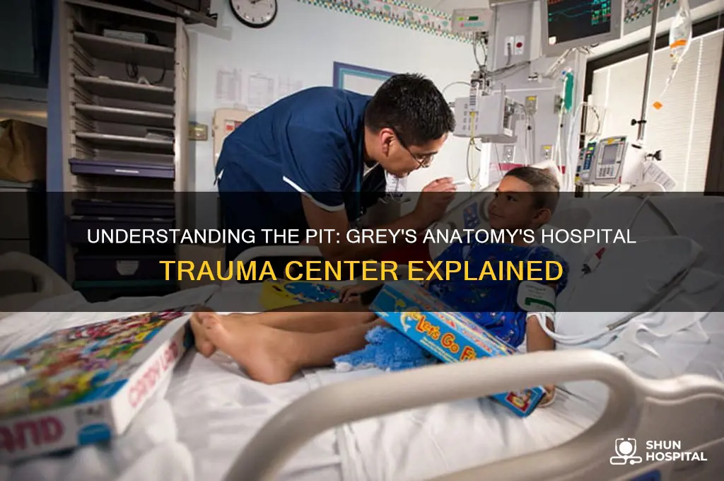 what is the pit in a hospital grey