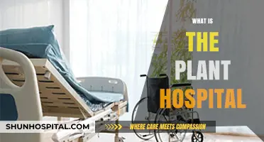 Healing Haven: Inside the Innovative Plant Hospital
