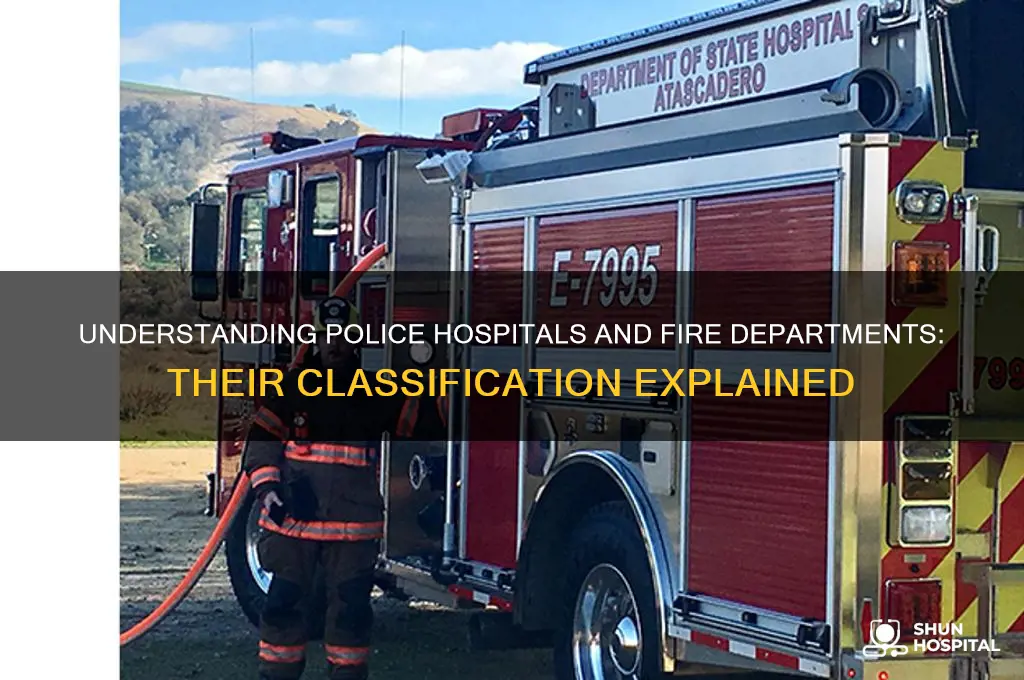 what is the police hospital and fire department classified as