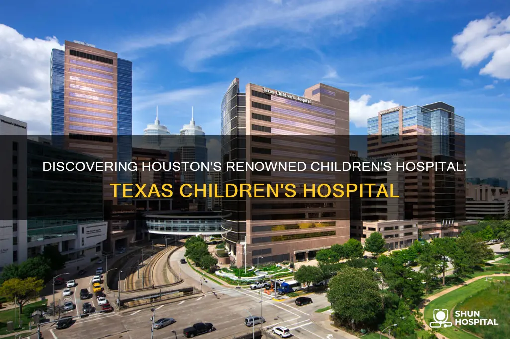 what is the pretigious childrens hospital in housten texas called