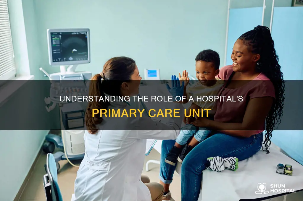 what is the primary care unit in a hospital