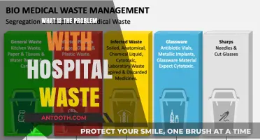 Hazardous Hospital Waste: A Growing Environmental Concern