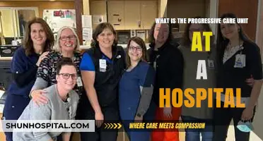 Understanding the Progressive Care Unit: Hospital Care Beyond Intensive Care