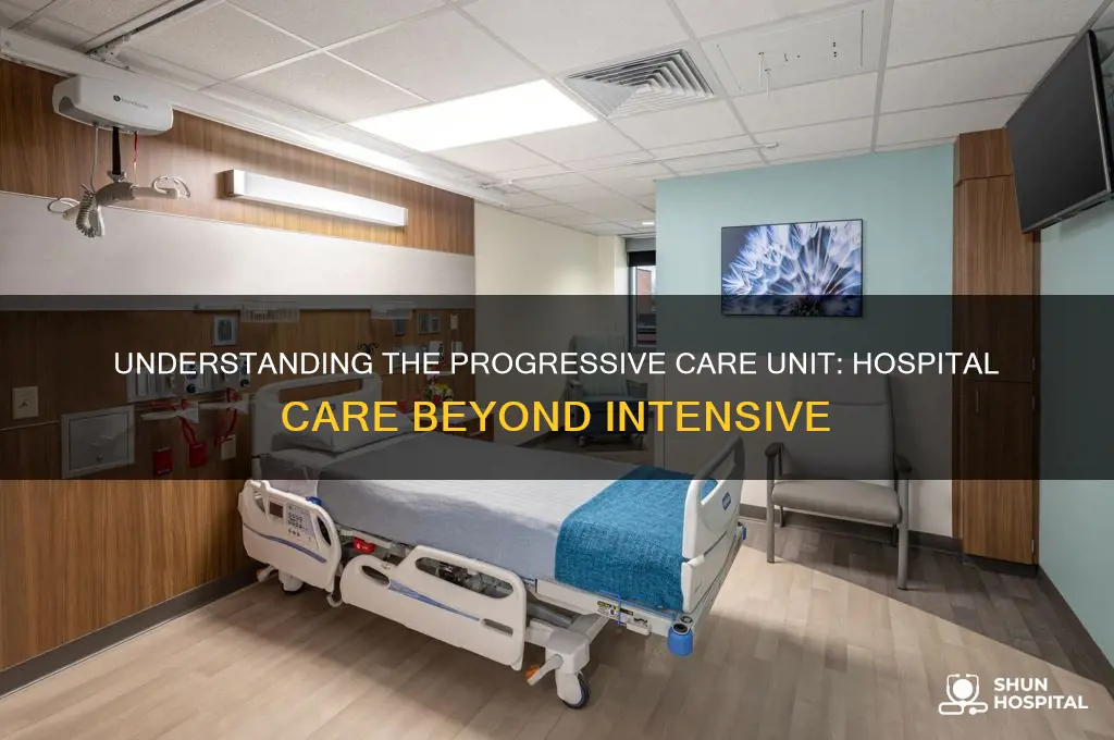 what is the progressive care unit in a hospital