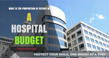 Understanding Payors' Role in Hospital Budget Allocation and Financial Planning