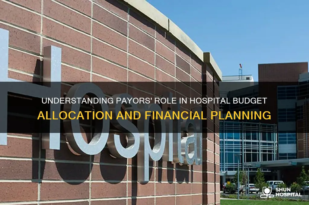 what is the proportion of payors in a hospital budget