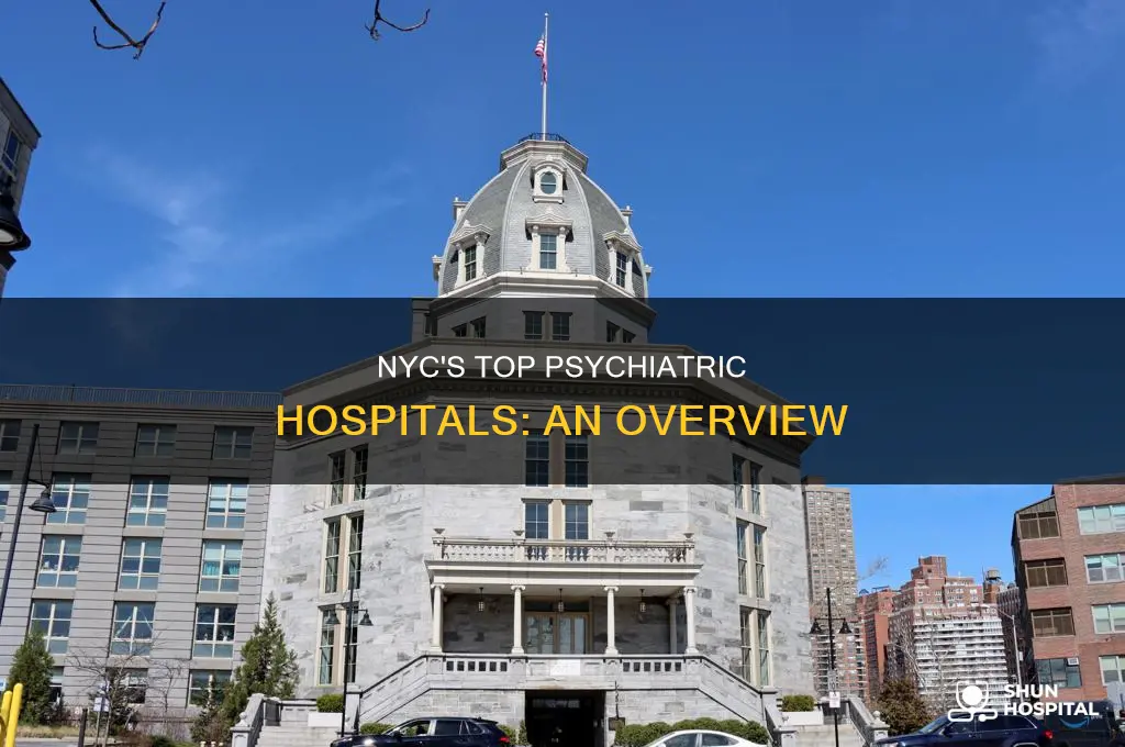 what is the psyc hospital in nyc