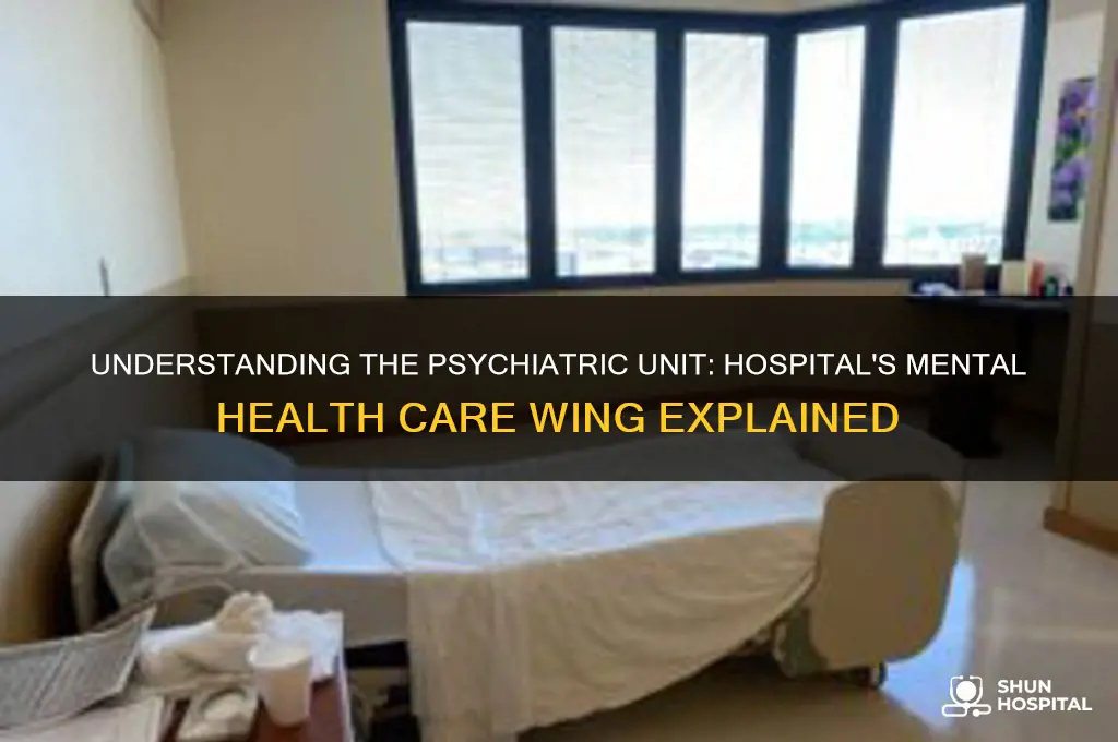 what is the psycharitic unit of the hospital called