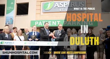 Duluth's Public Hospital: Name and Location