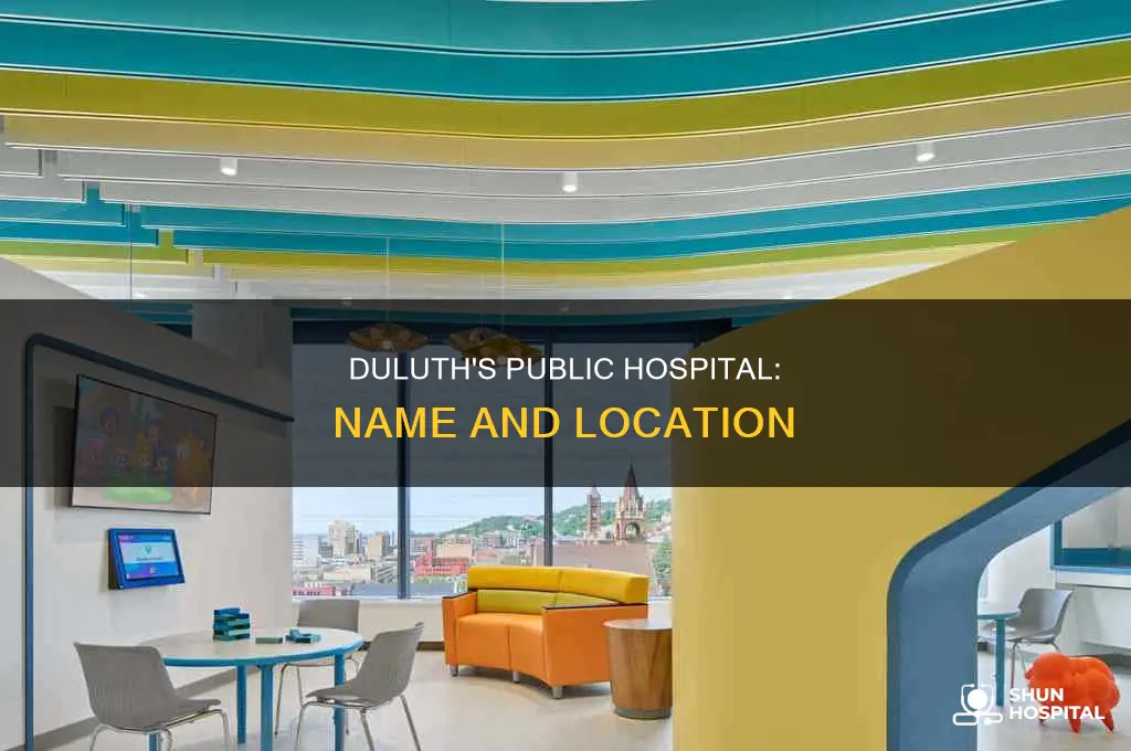 what is the public hospital in duluth