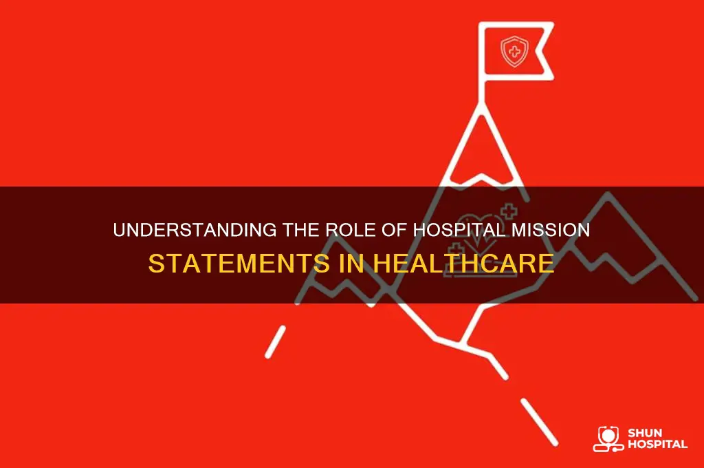 what is the purpose of a hospital mission statement