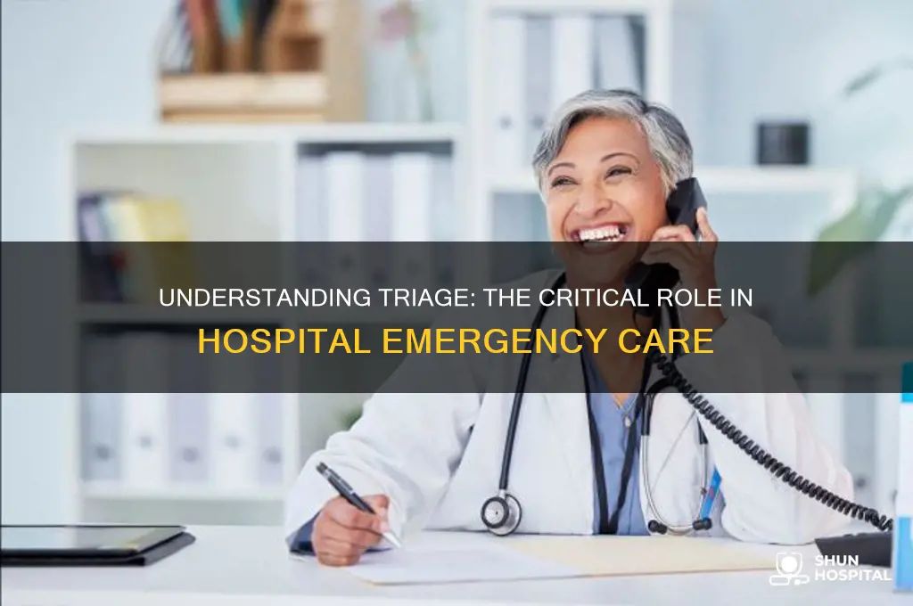 what is the purpose of a triage in a hospital
