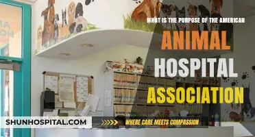 Understanding the American Animal Hospital Association's Mission and Goals