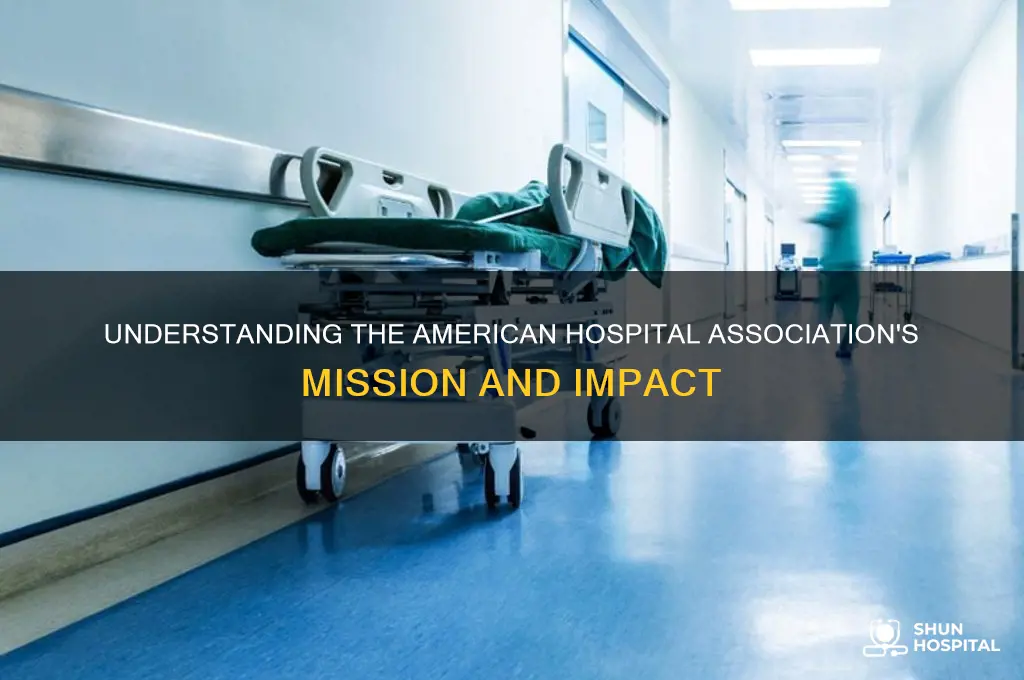 what is the purpose of the american hospital association