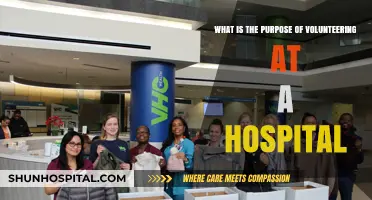Volunteering at a Hospital: Purpose, Impact, and Personal Growth Explained