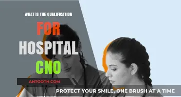 Qualifications for a Hospital CNO: Education and Experience