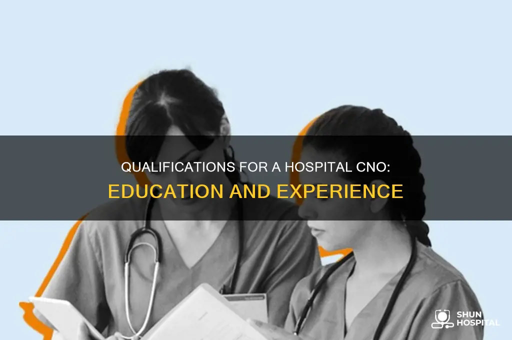 what is the qualification for hospital cno