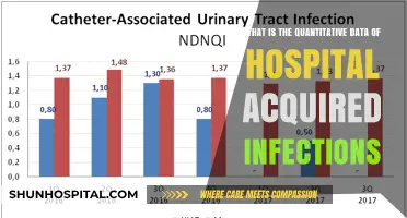 Understanding Hospital-Acquired Infections: Quantitative Data and Insights