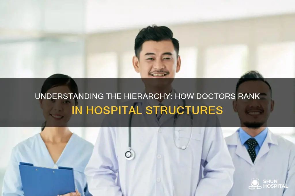 what is the ranking of doctors in a hospital