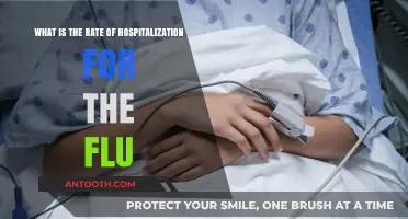 Understanding Flu Hospitalization Rates: Causes, Trends, and Prevention Tips