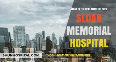 Unveiling the Real-Life Inspiration Behind Grey Sloan Memorial Hospital