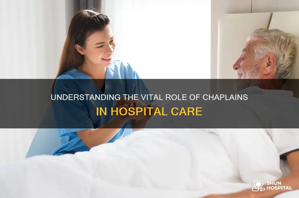 what is the role of a chaplain in a hospital