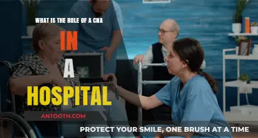 Understanding the Vital Role of CNAs in Hospital Patient Care