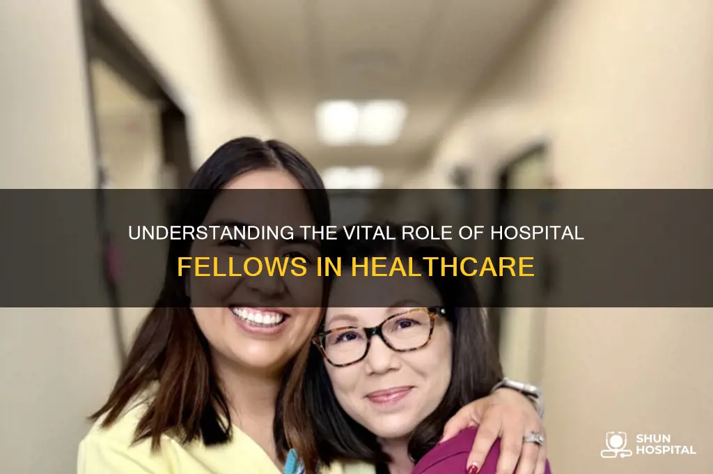 what is the role of a fellow at a hospital