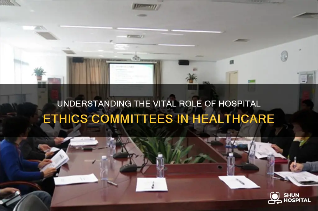what is the role of a hospital ethics committee