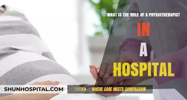 The Vital Role of Physiotherapists in Hospital Patient Care and Recovery