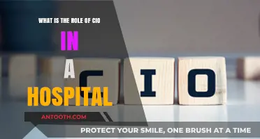 The Critical Role of a CIO in Modern Hospital Management