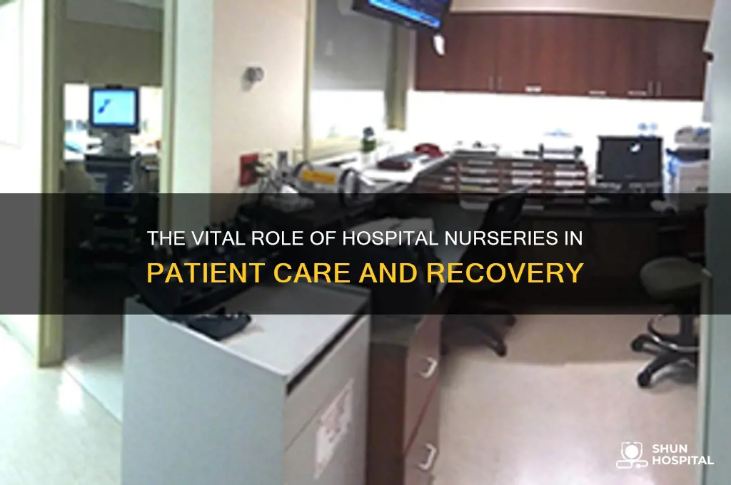 what is the role of nursery in the hospital