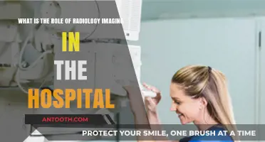 The Vital Role of Radiology Imaging in Modern Hospital Care