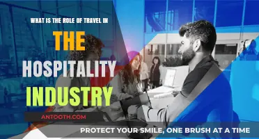 Exploring Travel's Impact on Hospitality Industry Growth and Innovation