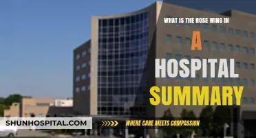 Understanding the Rose Wing: A Hospital Department Overview and Purpose