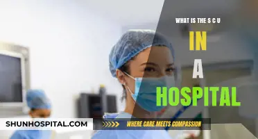 Understanding the Surgical Care Unit (SCU) in Hospitals: A Comprehensive Guide